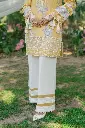 DSC08355.webp