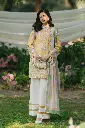 DSC08280.webp