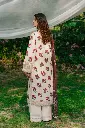 DSC08616.webp