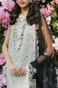 DSC08701.webp